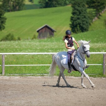 young austria Reitcamp