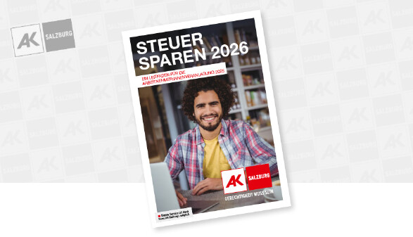 Ansicht der Brosch&uuml;re Steuer sparen 2026