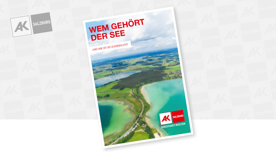 Ansicht des Titelblatts der Studie Salzburger Seen