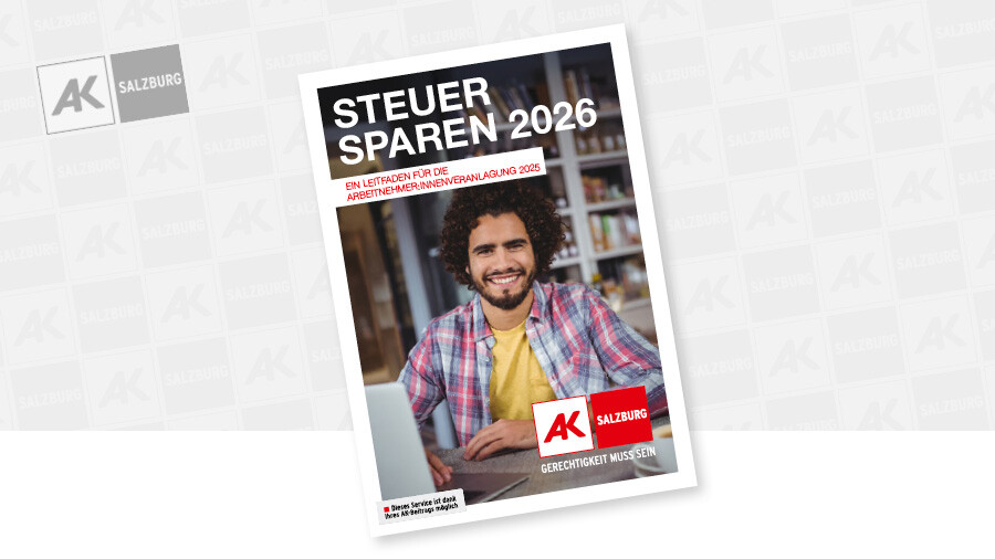 Ansicht der Brosch&uuml;re Steuer sparen 2026
